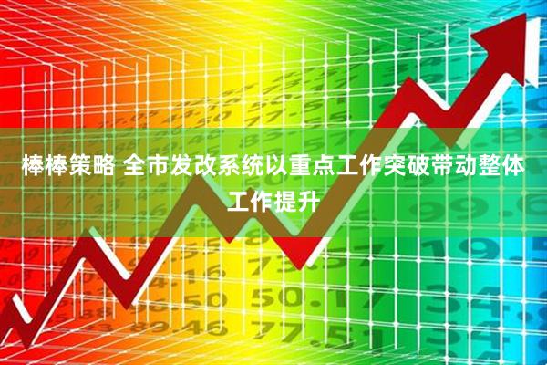 棒棒策略 全市发改系统以重点工作突破带动整体工作提升